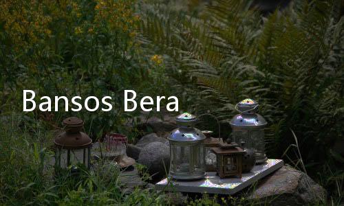 Bansos Beras Disetop Jelang Pemilu 2024, Begini Kata Badan Pangan Nasional