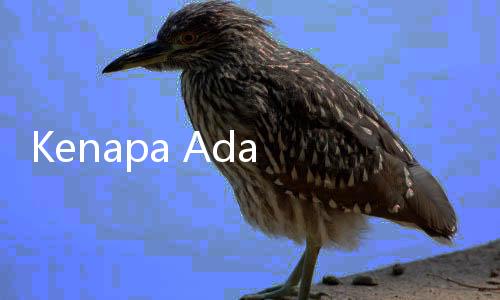Kenapa Ada Orang yang Berumur Panjang? 5 Faktor Ini Jadi Penyebabnya